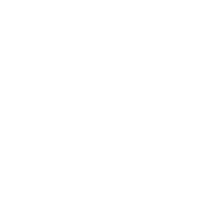 Vivu Art